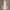 Vintage Evening dress Wanita cream photo 2