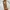 Gucci Casual Crossbody Bag Wanita tan brown photo 7