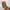 Gucci Casual Crossbody Bag Wanita tan brown photo 6