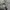 Nike Streetwear Sportswear Sweatshirt Pria gray photo 6