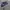 Nike Streetwear Sportswear Sweatshirt Pria gray photo 4