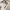 Dr. Martens core 7” white (used)  photo 3