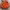 Burberry Luxury Bomber jacket Pria orange photo 5