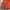Burberry Luxury Bomber jacket Pria orange photo 3