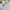 Adidas Sportswear Jersey Pria white black photo 3