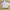 Adidas Sportswear Jersey Pria white black photo 1