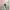 Vintage Minimalist Wanita white photo 1