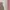 Vintage Minimalist Wanita white photo 4