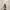 Vintage Wanita brown black photo 2