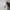 ZARA Streetwear Luxury Sweatshirt Pria multicolor photo 4