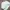 Champion Vintage Y2K Sweater Pria white photo 4