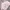 KIRSH Vintage Y2K Sweater Pria pink photo 4
