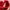 Coco Kelen Red Overlay Sleeveless Dress photo 3
