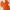 Mugler Casual Casual dress Wanita orange photo 7