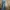 Streetwear Casual pants Pria multicolor photo 1