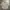 Japanese brand Streetwear Casual Formal shirt Pria tan photo 2