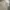 Japanese brand Streetwear Casual Formal shirt Pria tan photo 7