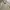 Japanese brand Streetwear Casual Formal shirt Pria tan photo 3