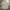 Japanese brand Streetwear Casual Formal shirt Pria tan photo 6