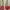 Sanrio Casual Kids white red photo 3