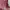 Sanrio Casual Kids white red photo 6
