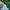 Adidas Sportswear Hat Kids white photo 5