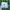 Adidas Sportswear Hat Kids white photo 1