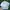 Adidas Sportswear Hat Kids white photo 6