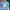 Adidas Sportswear Hat Kids white photo 4