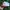 Vintage Hat Pria white green photo 2