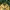 Sportswear Casual Hat Pria yellow photo 3