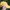 Sportswear Casual Hat Pria yellow photo 2