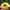 Sportswear Casual Hat Pria yellow photo 6