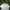 Casual Hat Pria cream photo 6