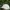 Casual Hat Pria cream photo 2