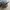 Adidas Casual Hat Pria multicolor photo 3
