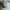 Adidas Casual Hat Pria multicolor photo 1
