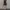 Daster Black Feather Print Dress photo 3