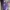 Streetwear Reworked Fleece Pria purple white photo 5