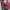 Vintage Reworked Fleece Pria red black photo 8