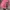 Vintage Reworked Fleece Pria red black photo 3
