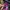 Vintage Pria purple pink photo 1
