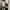 Reebok Streetwear Sportswear Sneakers Wanita Cream