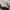 Reebok Streetwear Sportswear Sneakers Wanita cream photo 3