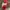 Boneka Lucu — Santa Claus photo 4