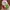 Boneka Lucu — Santa Claus photo 5