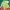 Vivastudio Streetwear Minimalist T-shirt Pria Multicolor