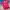 Alpha Industries Streetwear Casual T-shirt Pria pink photo 1