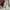 Adidas Sportswear Jersey Pria white gray photo 6