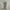 Adidas Sportswear Jersey Pria white gray photo 1